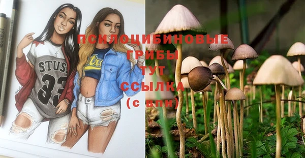 твердый Алексеевка